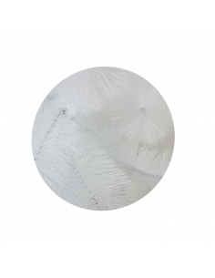 ÁRBOL BLANCO... 2