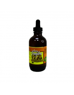 GOTERO JENGIBRE 4 OZ