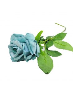 ROSA FLOR X72 2