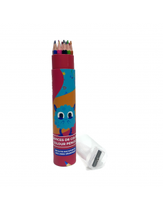 LAPIZ DE COLORES X12