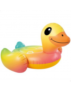 INTEX FLOTADOR EN ALFOMBRA...