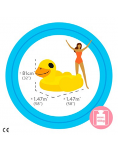 INTEX FLOTADOR EN ALFOMBRA... 2