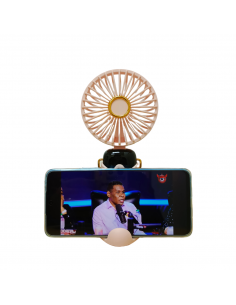 ABANICO MINI 19*9*4CM 144/1 2