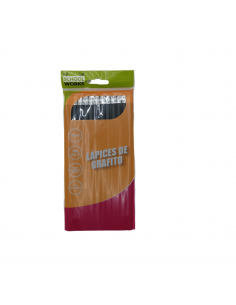 LAPIZ DE CARBON 12/1 240/1 2