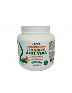 TRATAMIENTO JENGIBRE ALOE...