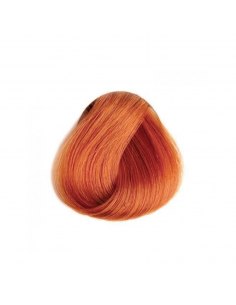 TINTE TOUJOURS 100 ML (8.4) 2