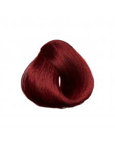 TINTE TOUJOURS 100 ML (77.44) 2