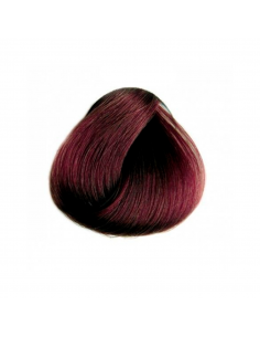 TINTE TOUJOURS 100 ML (66.66) 2