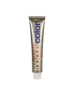 TINTE TOUJOURS 100 ML (2)