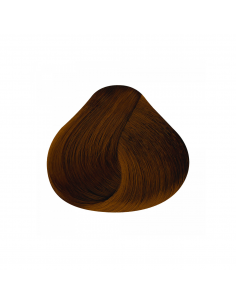 TINTE TOUJOURS 100 ML (6.34) 2