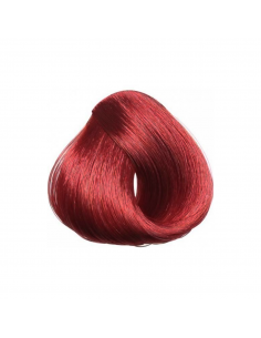 TINTE TOUJOURS ROJO... 2