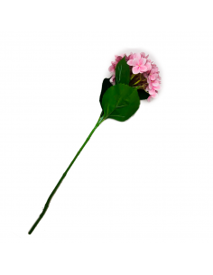 FLORES X30