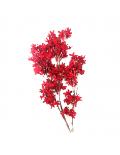 FLORES X 120 PÉTALOS 2