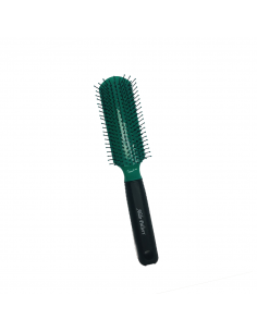 CEPILLO DE PELO ALDO...