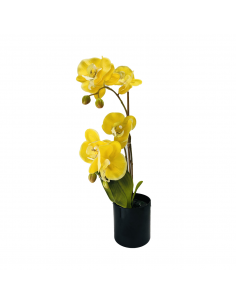 ARREGLO FLORAL ORQUIDEA X4